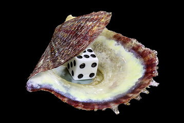 Shell of the Mediterranean pearl mussel, Pinctada imbricata (Bivalvia: Pteriidae) with a dice inside. Isolated on a black background