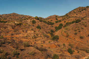 Hills with olive trees in sunlight under a blue sky. Almogia, Malaga, Andalusia, Spain.
