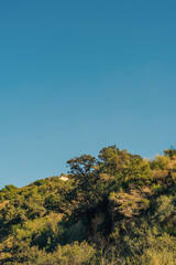 Green vegetation and little white house on slope in sunlight under a blue sky. Almogia, Malaga, Andalusia, Spain.