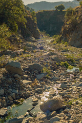 Dry riverbed with green lush vegetation in sunlight. Almogia, Malaga, Andalusia, Spain.