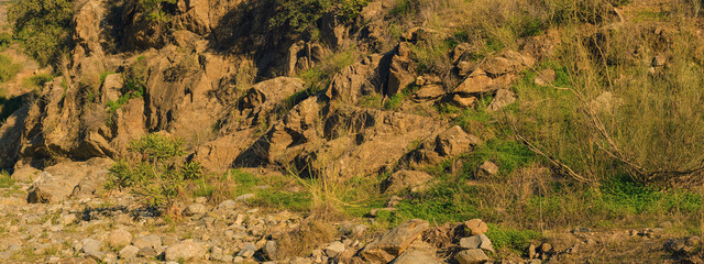 Green lush vegetation between red rocks in sunlight. Andalusia, Spain.