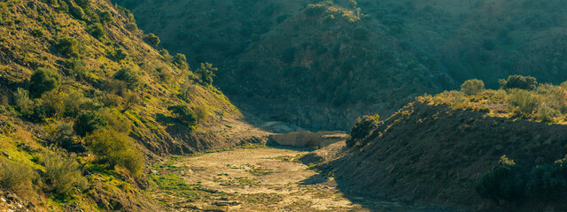 Valley with ancient stone bridge and green vegetation in sunlight. Almogia, Malaga, Andalusia, Spain.