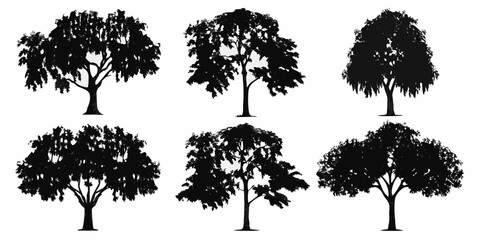 A collection of silhouetted trees with varying canopy shapes and sizes