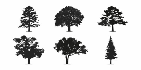 Fototapeta premium A collection of six silhouetted trees with varying shapes and foliage