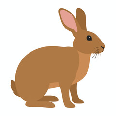 Fototapeta premium Brown rabbit standing on ground.