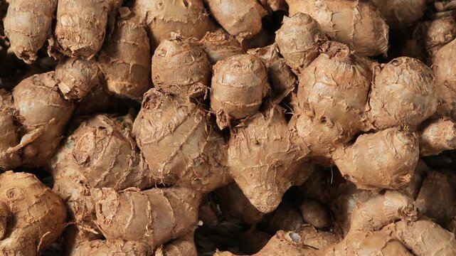 fresh black galingale in basket