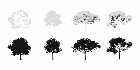 Fototapeta premium Variations of tree shapes and silhouettes in grayscale and black