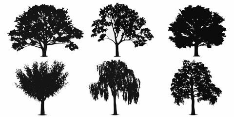 Silhouettes of diverse trees against a clean white background nature s artistry