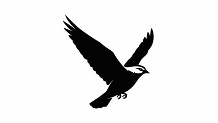 Obraz premium Silhouette of a bird of prey in flight.