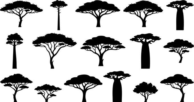 Diverse collection of detailed black tree silhouettes featuring various shapes and species, including savanna and tropical trees like acacia and baobab