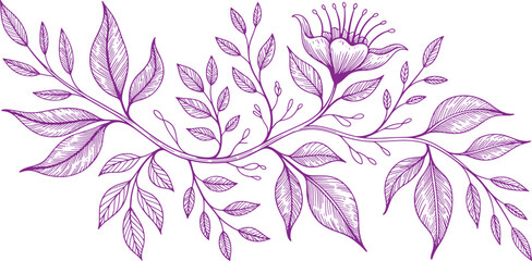 Purple floral branch with leaves and a single flower in a detailed line style