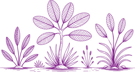 Purple Water Plants with Detailed Leaves Growing in Shallow Water nature