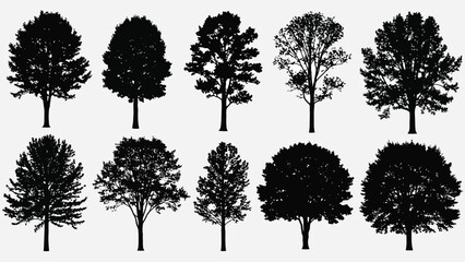 A collection of silhouetted trees in varying shapes and sizes displayed together