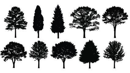 Collection of various tree silhouettes in a black and white graphic © Tm Studio