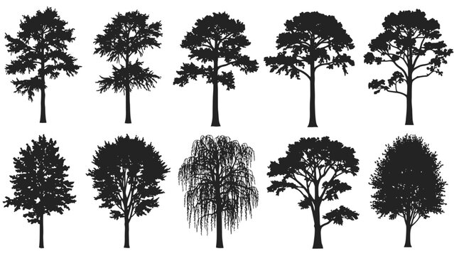 A collection of various tree silhouettes in black against a white background