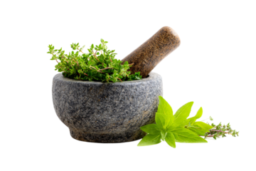 fresh herbs in mortar with pestle isolated on transparent background