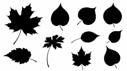 Obraz premium Collection of Black Silhouettes of Various Autumn Leaves.