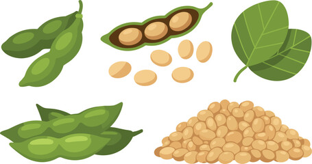 Flat Vector Illustration of Coffee Collection with Vanilla Pods Cinnamon Sticks and Whipped Cream