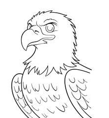 Majestic eagle illustration with intense gaze, symbolizing freedom and power.