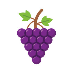 A cluster of grapes Vector