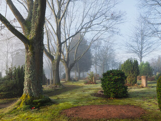 Fototapeta premium Auf dem Parkfriedhof bei Nebel und Dunst am Morgen im Dezember, Gräber ohne Namen
