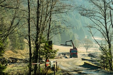A red truck equipped with a crane moves carefully through a serene forest, lifting logs under soft...