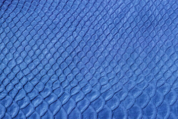 Close-up of blue snakeskin leather texture with repeating scale pattern. Concept of exotic leather, reptile fashion texture, luxury materials. Copy space
