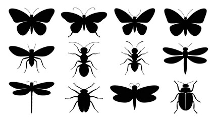A black and white illustration of 10 different insects arranged in a 2x5 grid pattern against a white background