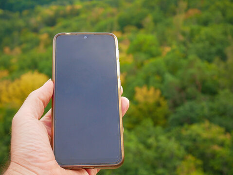Smart phone held in a hand with autumn forest on a background, nature, trees