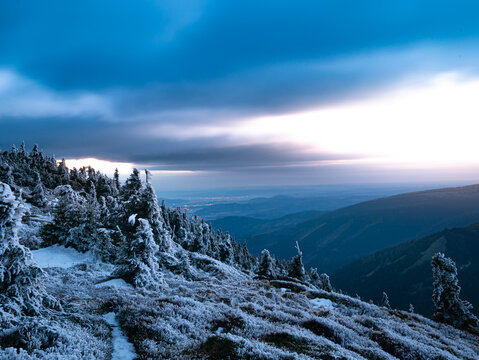 Harsh scenic landscape of Jeseniky mountains with spruce trees covered with rime,clouds and a view on the city in the evening