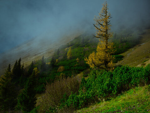 Beautiful Autumn day on a Hohe Veitsch mountain in Alps