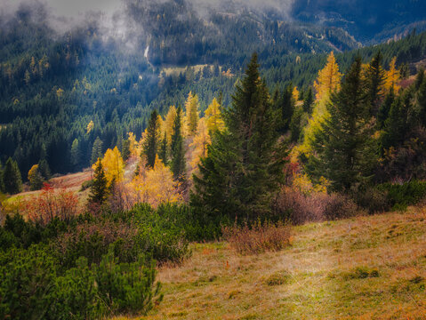 Beautiful Autumn day on a Hohe Veitsch mountain in Alps
