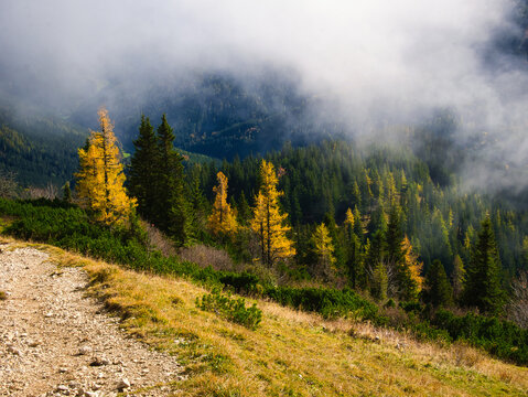 Beautiful Autumn day on a Hohe Veitsch mountain in Alps