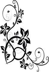 Black floral vine design with leaves and flowers isolated on transparent background © Shot By Pixeon