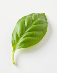 Sharp macro of a fresh green basil leaf, veins crisp, on a white paper backdrop, bright daylight‑style illumination.