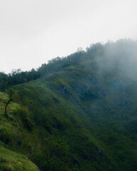 Exploring the Enigmatic Doi Khlui Luang in Tak Thailand A Captivating Nature Adventure Amidst Lush Greenery and Misty Mountains