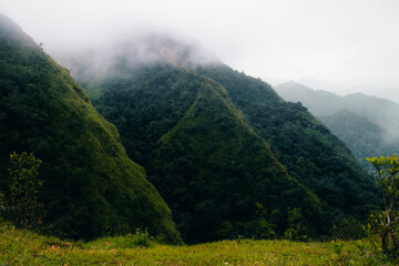 Doi Khlui Luang in Tak Thailand A Captivating Nature Adventure Amidst Lush Greenery and Misty Mountains