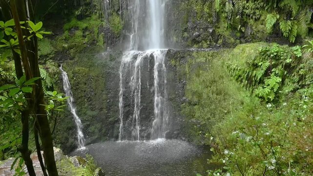  waterfall in a lush green forest in Levada das 25 Fontes, Madeira 