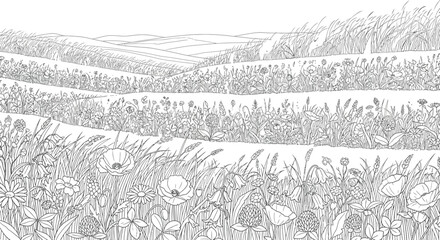 Fototapeta premium Detailed black and white line art coloring page depicting a scenic meadow full of wildflowers and rolling hills