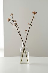 Dried Flowers in Glass Vase by Window With Light and Shadow in Room