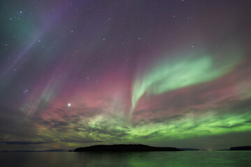 Naklejka premium Sky filled with a beautiful display of aurora