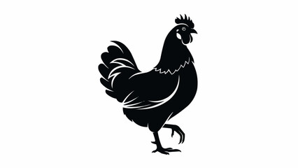 rooster isolated on white background © Wahyubudiyono