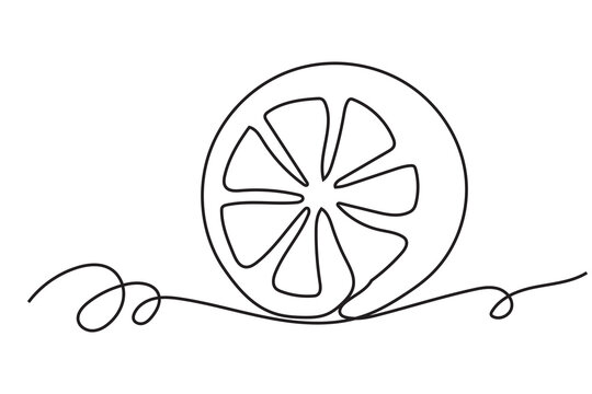 Line Art Orange Tropical Fruit Illustration. Curve Continuous Line Doodle Art. Editable Black Outline Line Ink. Exotic Vitamin Healthy Food Concept	