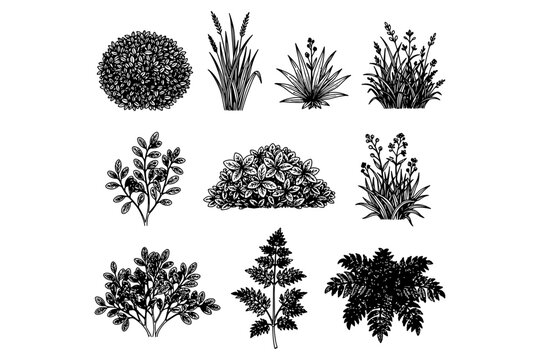set of CAD Grass,
Minimal CAD Grass Line Set &ndash; Ground Cover and Grass Section for Architectural