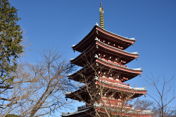 本土寺　五重塔(千葉県松戸市)