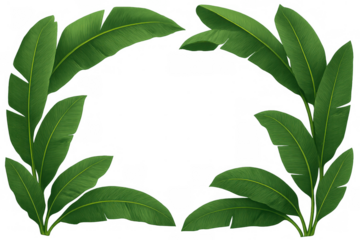 Tropical banana leaves forming a border on a transparent background, summer nature frame or botanical design element