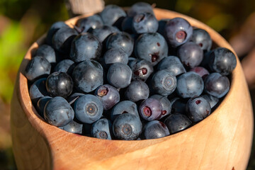 Blueberries are a tasty and healthy berry