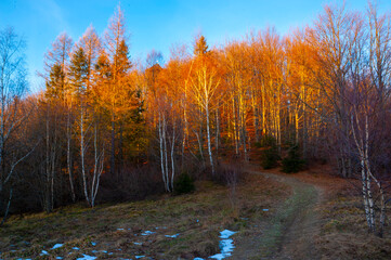 Fototapeta premium Beskid Sądecki jeśnienne klimaty 