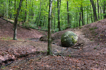 Stone sphere in forest in village Slatina near Banja Luka, mysterious sandstone ball