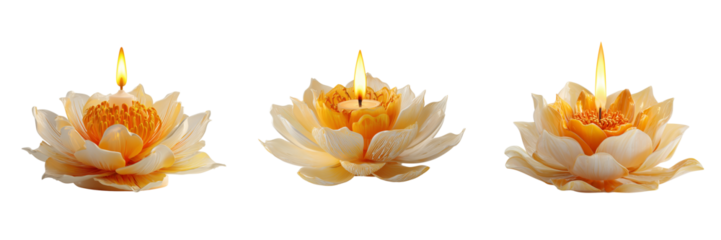Set of Elegant tulipa inspired candle holder in cream and metallic gold on transparent png background. Ai generated